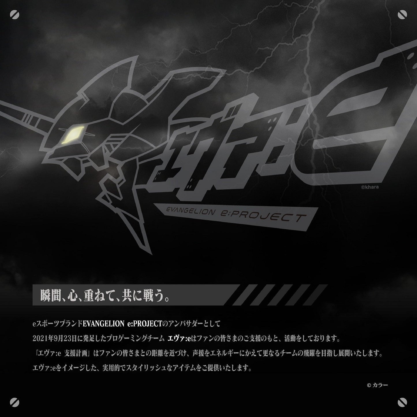 [エヴァ:e]  COMBINATION TYPE-D02【9月初旬より順次お届け】